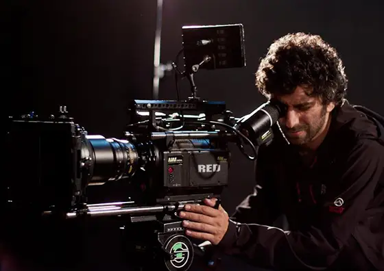 director